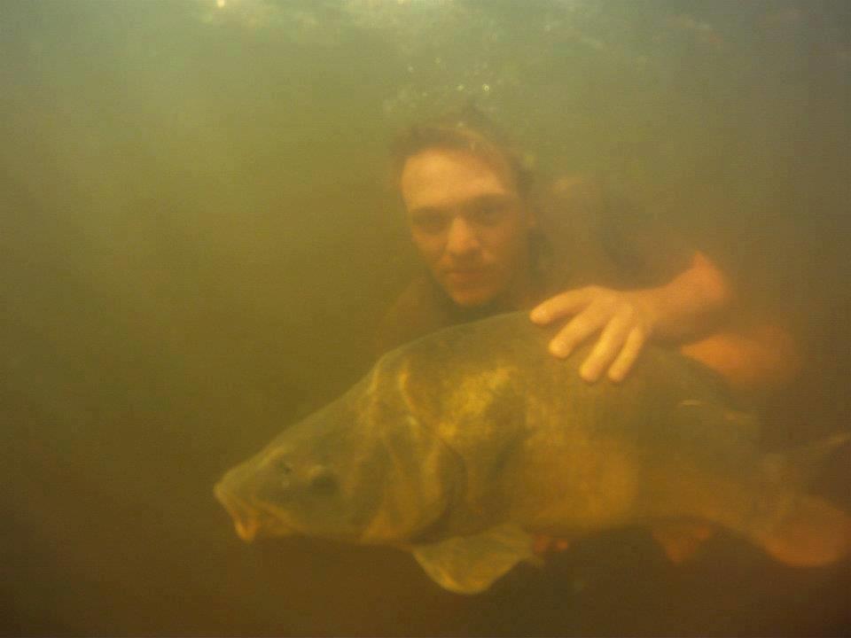 Adunate! - 11761433498045884844891120947454n.jpg